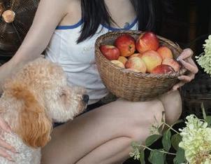 异世界也能搞定免费？听说www.51.com的链接能把无聊变有趣！