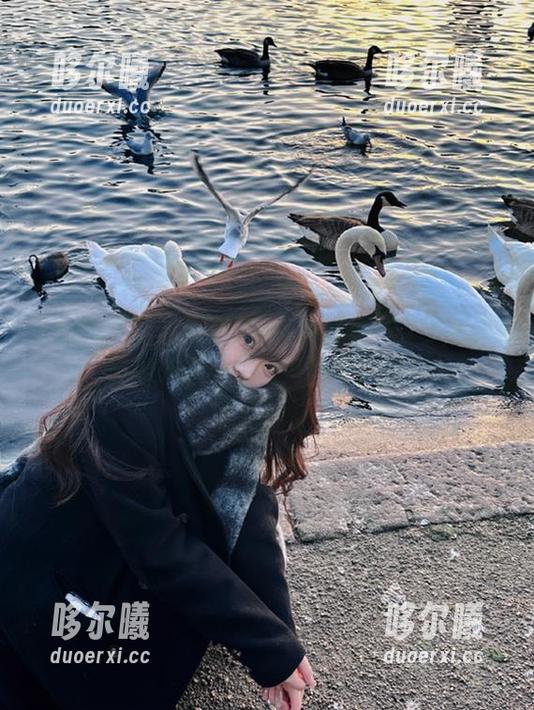 下载不了www.fuli91？看这慢得让人想抽自己的入口吧！