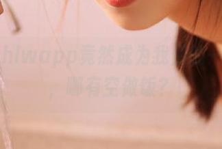 hlwapp竟然成为我们的一日三餐，哪有空做饭？